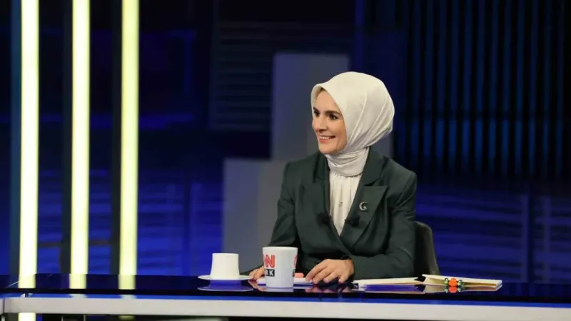 Doğum yardımları mayıs ayında ödenmeye başlanacak –  Ankara Haber